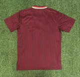 2025-26 Mens  Bayern Munich  Brown Red Casual Edition Soccer Jersey
