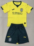 2025-26 Hibernian FC Away Kids Soccer Jersey