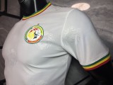 2025-26 Mens Senegal White Special Edition Player soccer jersey
