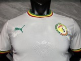 2025-26 Mens Senegal White Special Edition Player soccer jersey