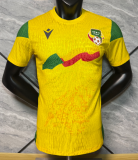 2026-27 Mens Benin yellow  away Player version Soccer Jersey