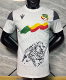 2026-27 Mens Benin White  Player version Soccer Jersey