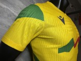 2026-27 Mens Benin yellow  away Player version Soccer Jersey