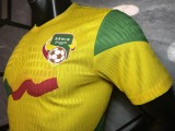 2026-27 Mens Benin yellow  away Player version Soccer Jersey