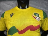 2026-27 Mens Benin yellow  away Player version Soccer Jersey