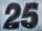 2025-26 Mens Oasis blue  Player version #25 soccer jersey