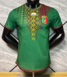 2026-27 Mens Mali  African Cup green Player Version Soccer Jersey