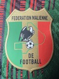 2026-27 Mens Mali  African Cup green Player Version Soccer Jersey