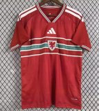 2026-27 Mens Wales Home red Fans Soccer Jersey