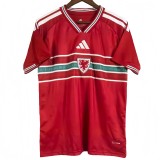 2026-27 Mens Wales Home red Fans Soccer Jersey
