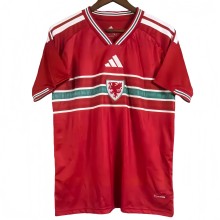 2026-27 Mens Wales Home red Fans Soccer Jersey