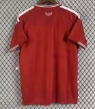 2026-27 Mens Wales Home red Fans Soccer Jersey