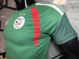 2026-27 Mens Algeria Special edition green Player soccer Jersey