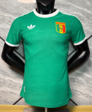 2026-27 Mens Senegal green retro edition Player soccer jersey