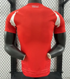 2024-25  Mens Chile home red  Player version Soccer Jersey