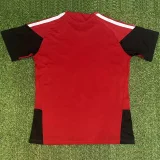 2026-27 Mens Germany Special Edition red  soccer  jersey