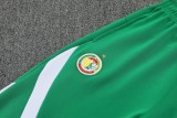 2026-27 Mens Senegal Green Jacket Tracksuit