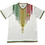 2026-27  Mens  Mali  home white Fans Soccer Jersey