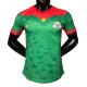2026-27  Mens  Burkina Faso  green  home Player version soccer jersey