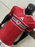 2026-27 Mens Wales home red  Player version Soccer Jersey