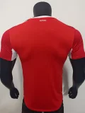 2026-27 Mens  Switzerland Home red Player Version Soccer Jersey