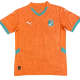 2025-26 Mens Ivory Coast  home Orange  soccer Jersey