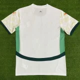 2025-26 Mens Ivory Coast  Away white soccer Jersey