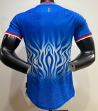2026-27 Mens Democratic Congo home  Player version  Soccer Jersey