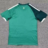 2026-27 Mens Northern Ireland Home Fans Soccer Jersey