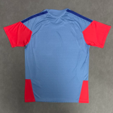 2026-27 Mens Japan blue Soccer Jersey