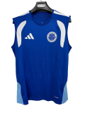 2026-27 Mens Cruzeiro blue vest