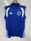 2026-27 Mens Cruzeiro blue vest