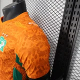 2026-27 Mens Ivory Coast home Orange  Player version soccer Jersey