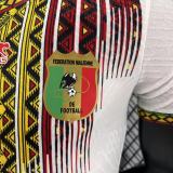 2026-27 Mens Mali  home white Player  Soccer Jersey