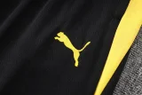 2025-26 Mens  Borussia Dortmund  Yellow Half Pull Tracksuit #B25142