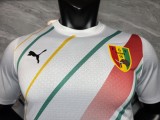 2026-27 Mens  Guinea white  Player version Soccer Jersey