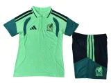 2026-27 Mens Mexico green  Training Short Suit