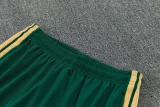 2026-27  Italy white vest training Short suit