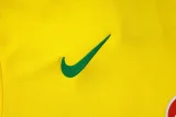2025-26 Brazil Yellow Training Short Suit   #D25254