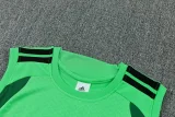 2026-27 Mens  Mexico green vest training Short suit
