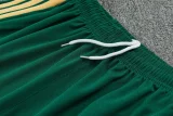 2026-27  Italy Green vest training Short suit