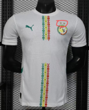 2024-25 Mens Senegal home Player Version Soccer Jersey (Stars 2 星)