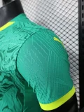 2024-25 Mens Senegal Away Player Version Soccer Jersey (Stars 2 星)
