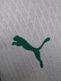 2024-25 Mens Senegal home Player Version Soccer Jersey (Stars 2 星)