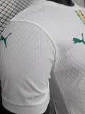 2024-25 Mens Senegal home Player Version Soccer Jersey (Stars 2 星)