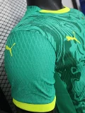 2024-25 Mens Senegal Away Player Version Soccer Jersey (Stars 2 星)