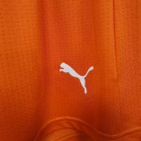 2025-26 Mens Ivory Coast  home player Shorts Pants