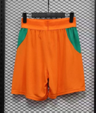 2025-26 Mens Ivory Coast  home player Shorts Pants