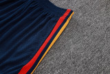 2026-27 Mens  Spain royal blue  player Shorts Pants