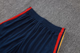2026-27 Spain Royal Blue Player Version Training Short Suit(球员版)